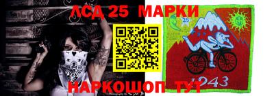 амф Донской