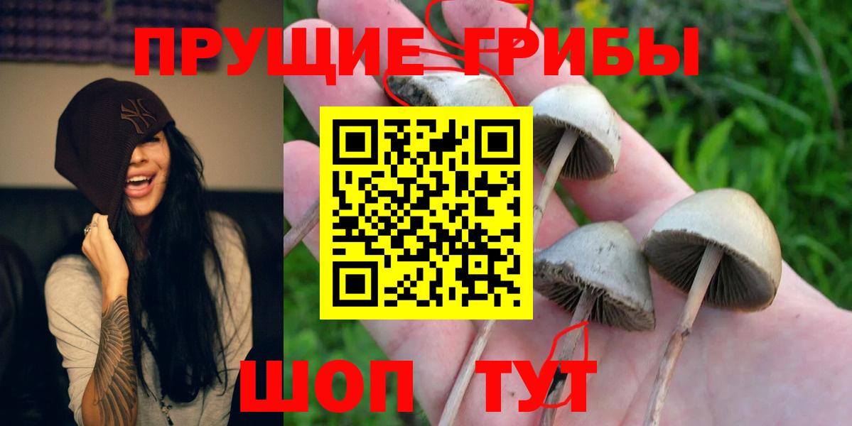 Новокуйбышевск  Псилоцибиновые грибы Magic Shrooms  Псилоцибиновые грибы Magic Shrooms  Вход с VPN 