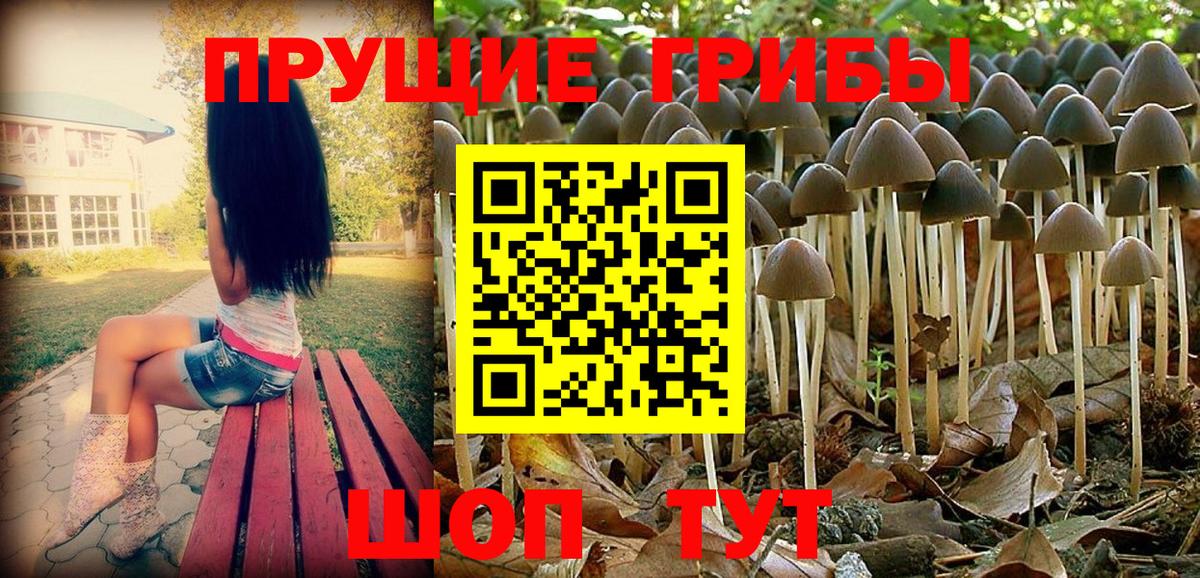 Псилоцибиновые грибы мухоморы Новокуйбышевск